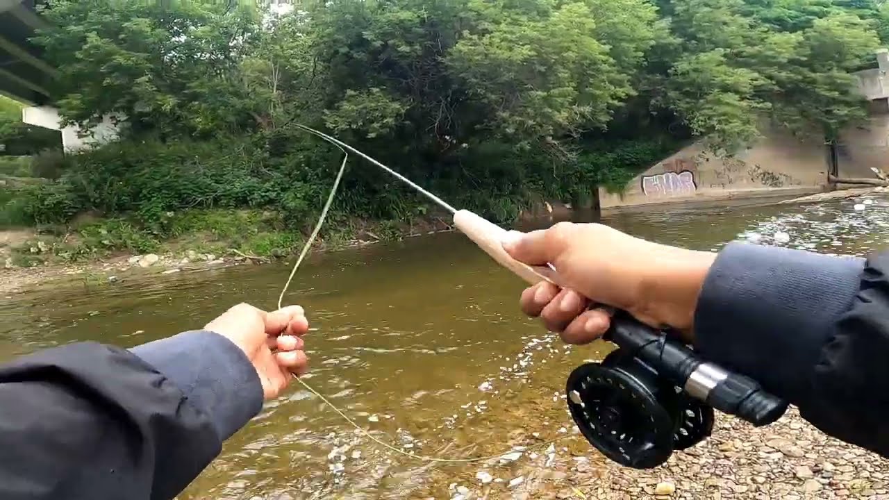 Shakespeare Fly fishing Rod Combo review 2025