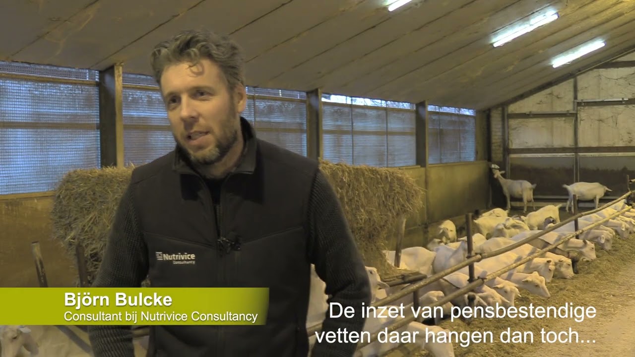 Melkgeitenbedrijf Schippers haalt direct een hoger melkvetgehalte met het voeren van Mega-Fat 88