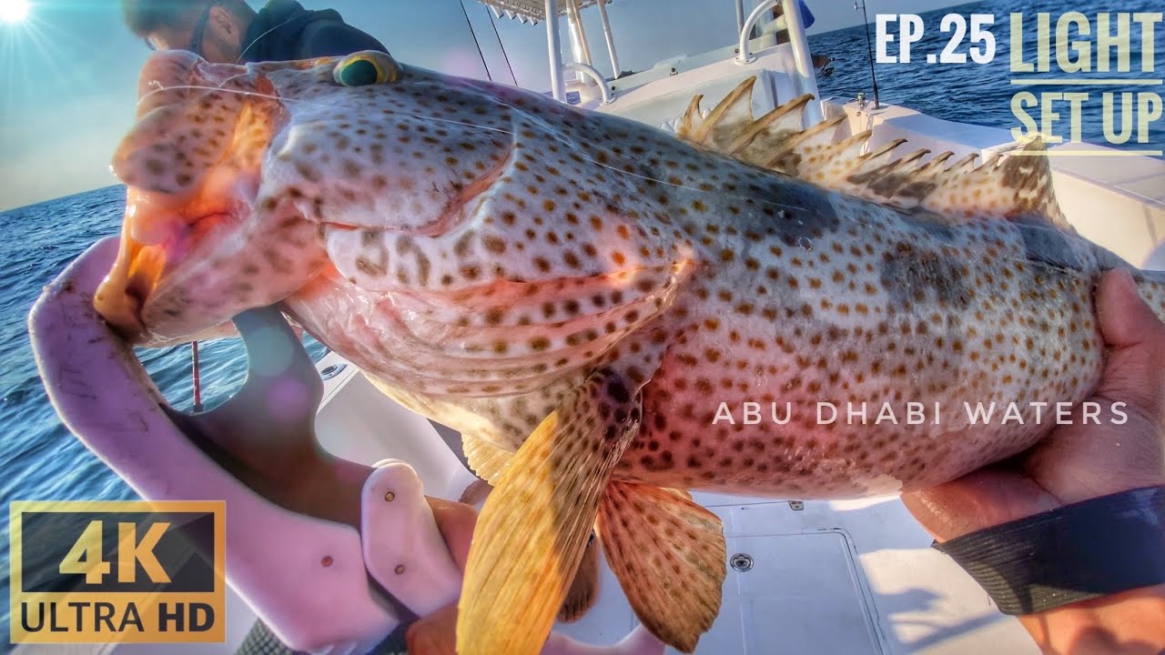 Light set up fishing on Deep sea. Abu dhabi waters off shore fishing