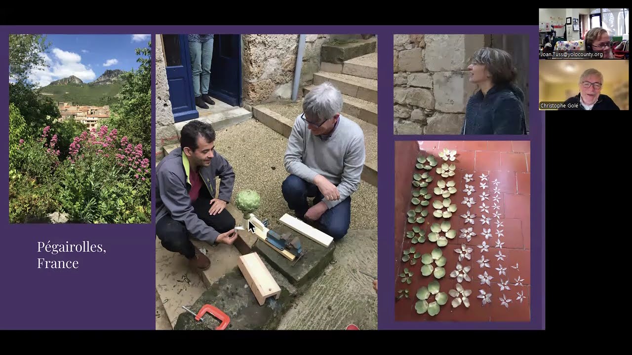 Do Plants Know Math: Unwinding the Story of Plant Spirals (01/22/2026)