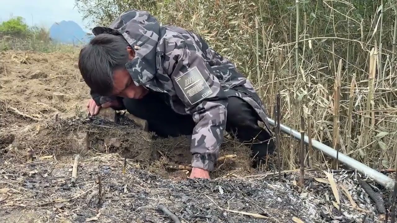 果园里挖出3斤重的长尾兔，吓到小莫说话直打哆嗦