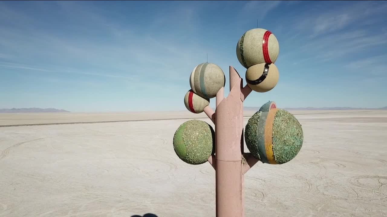 Utah Elevated: The Tree of Utah