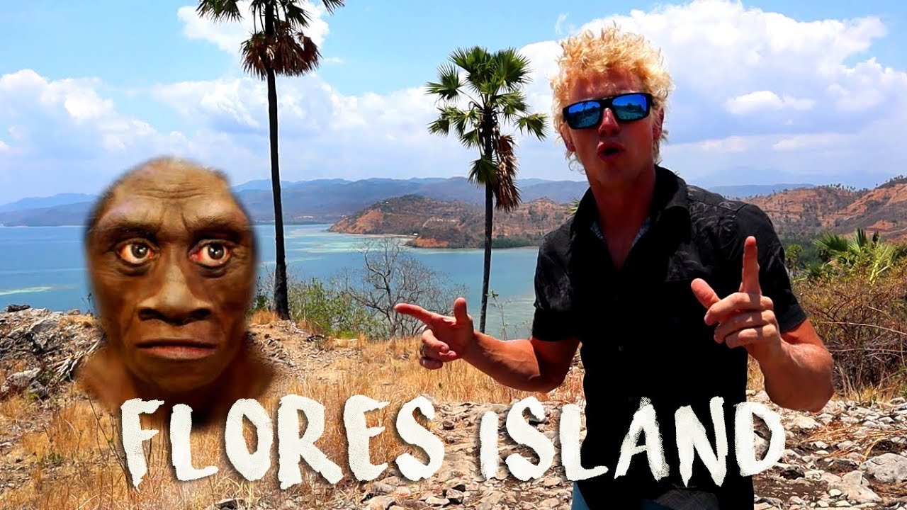 FLORES ISLAND AND HOMO FLORESIENSIS