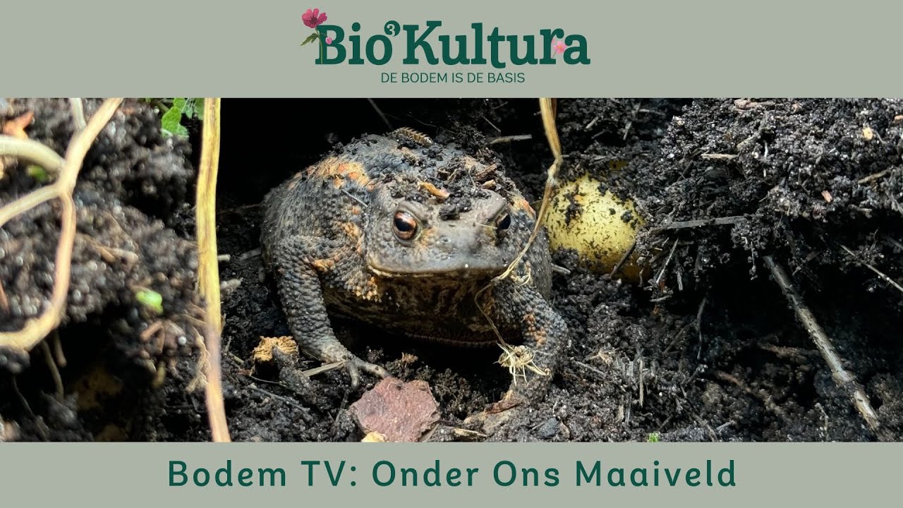 BodemTV: Onder Ons Maaiveld