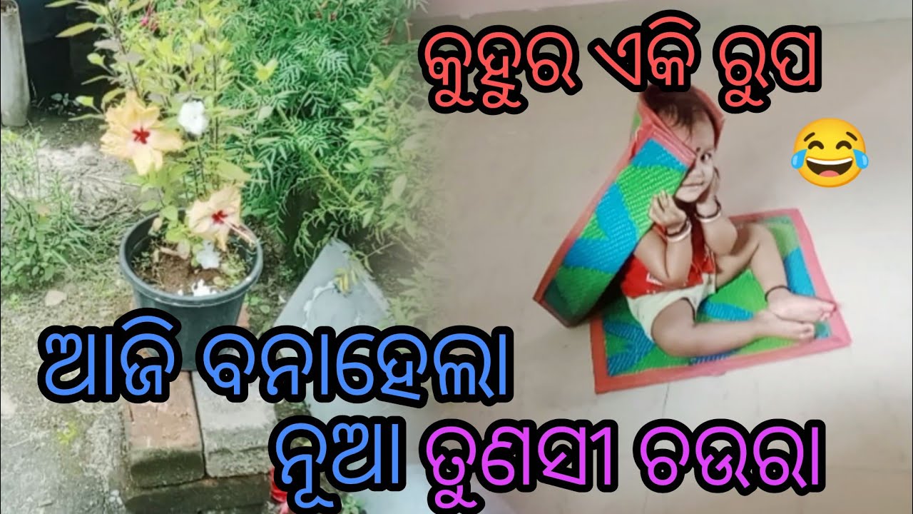 କୁହୁର ଏକି ରୁପ#viralvideo#volg#odiafamily #subscribe#yt@rupapin2khushiexpress443 @Dama-uma-life-style