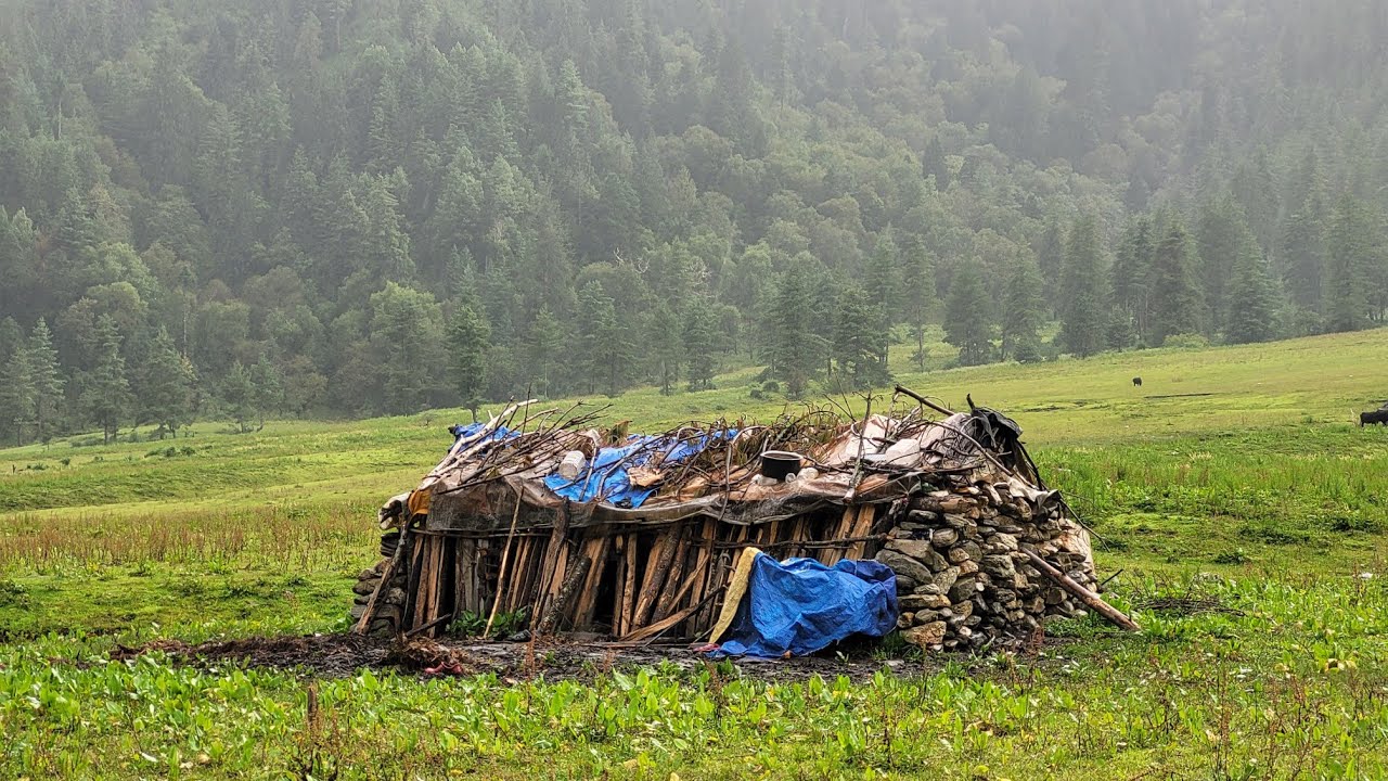 This IS Surviving Life in The Nepali Mountain Village  || Shepherd Life Of Karnali || Original Life 