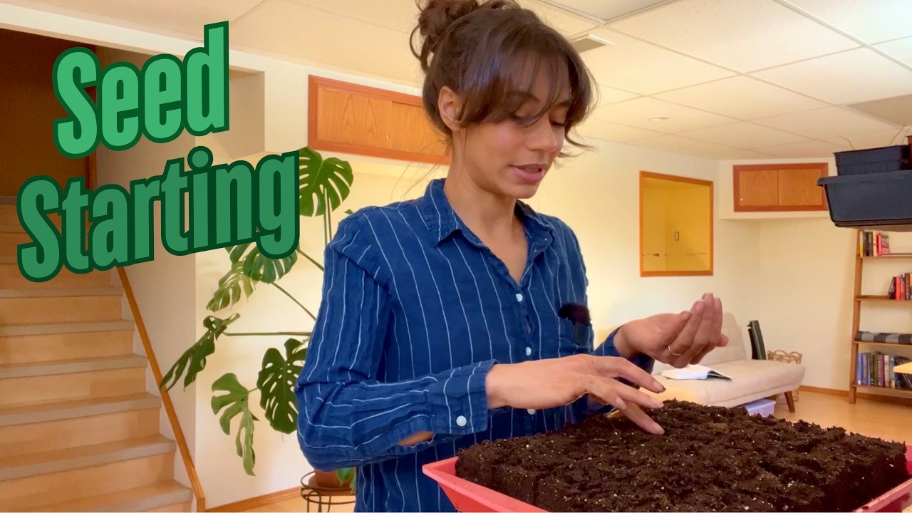 2025 Seed starting continues! | Ranunculus, brassicas, and pepper