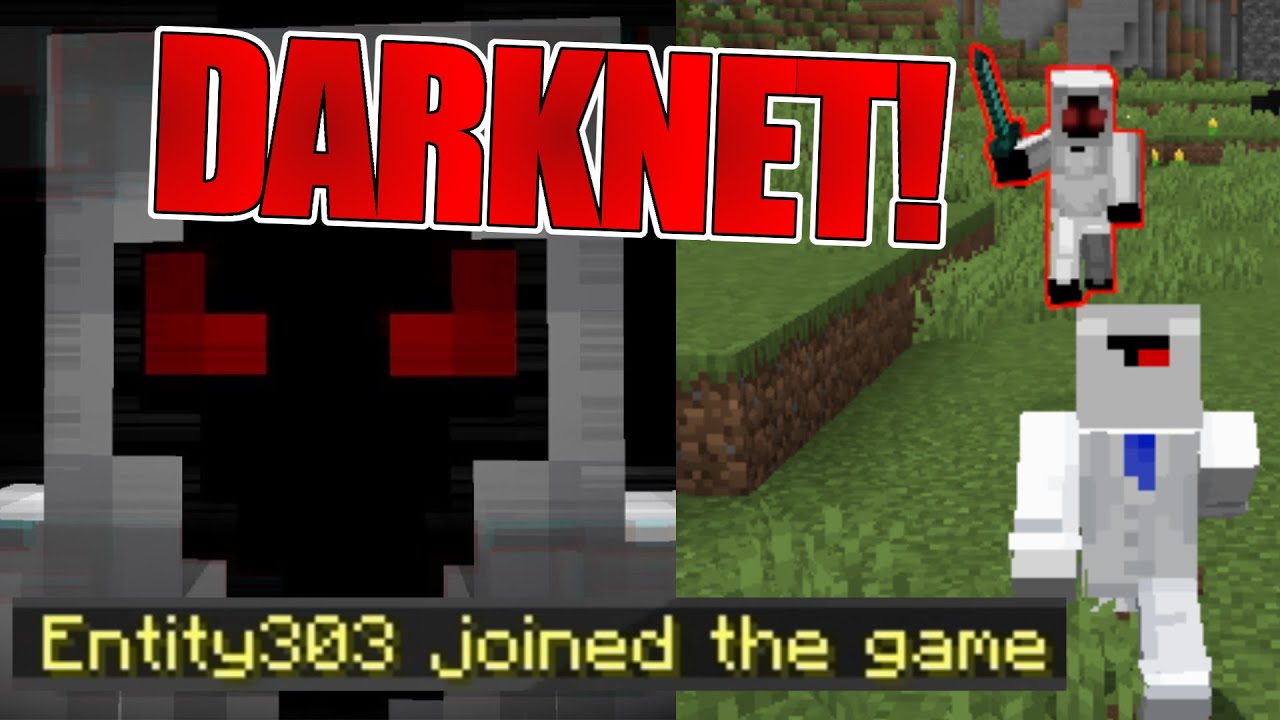 ENTITY 303 durch das DARKNET getroffen! Er JAGT mich!