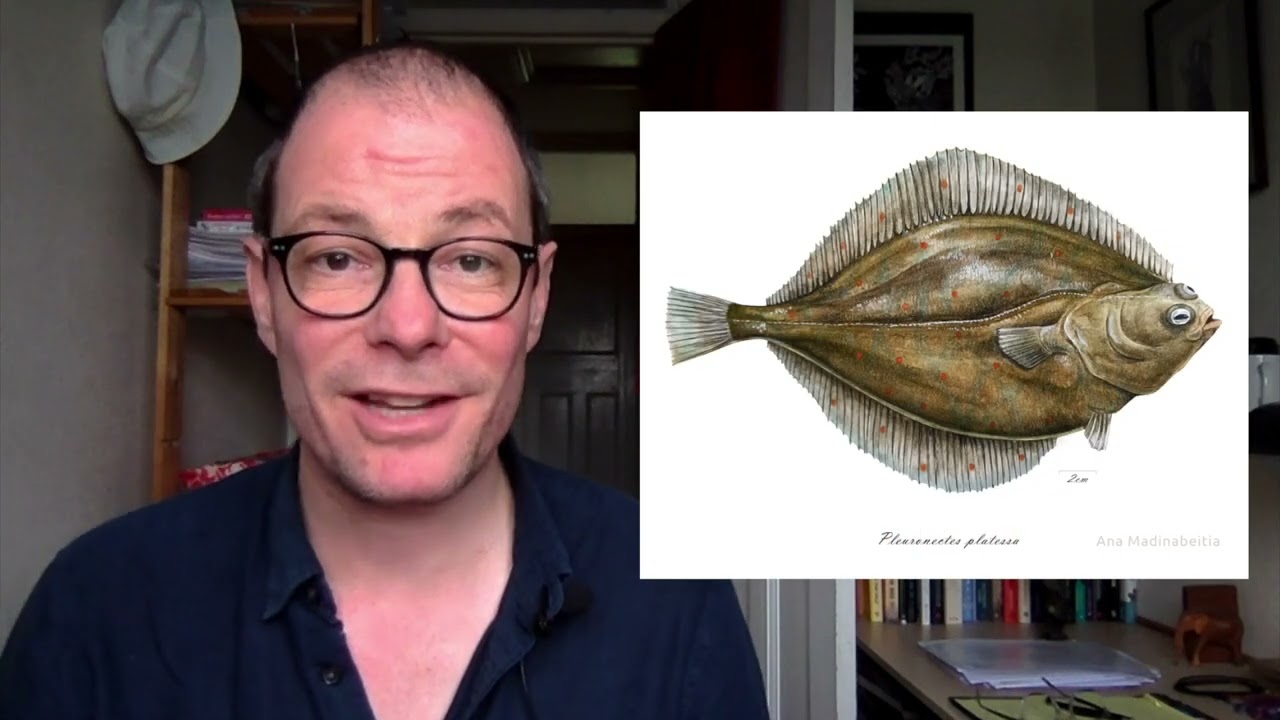 Exploding a modern myth: Geoffroy's inverted lobster and dorso-ventral axis inversion