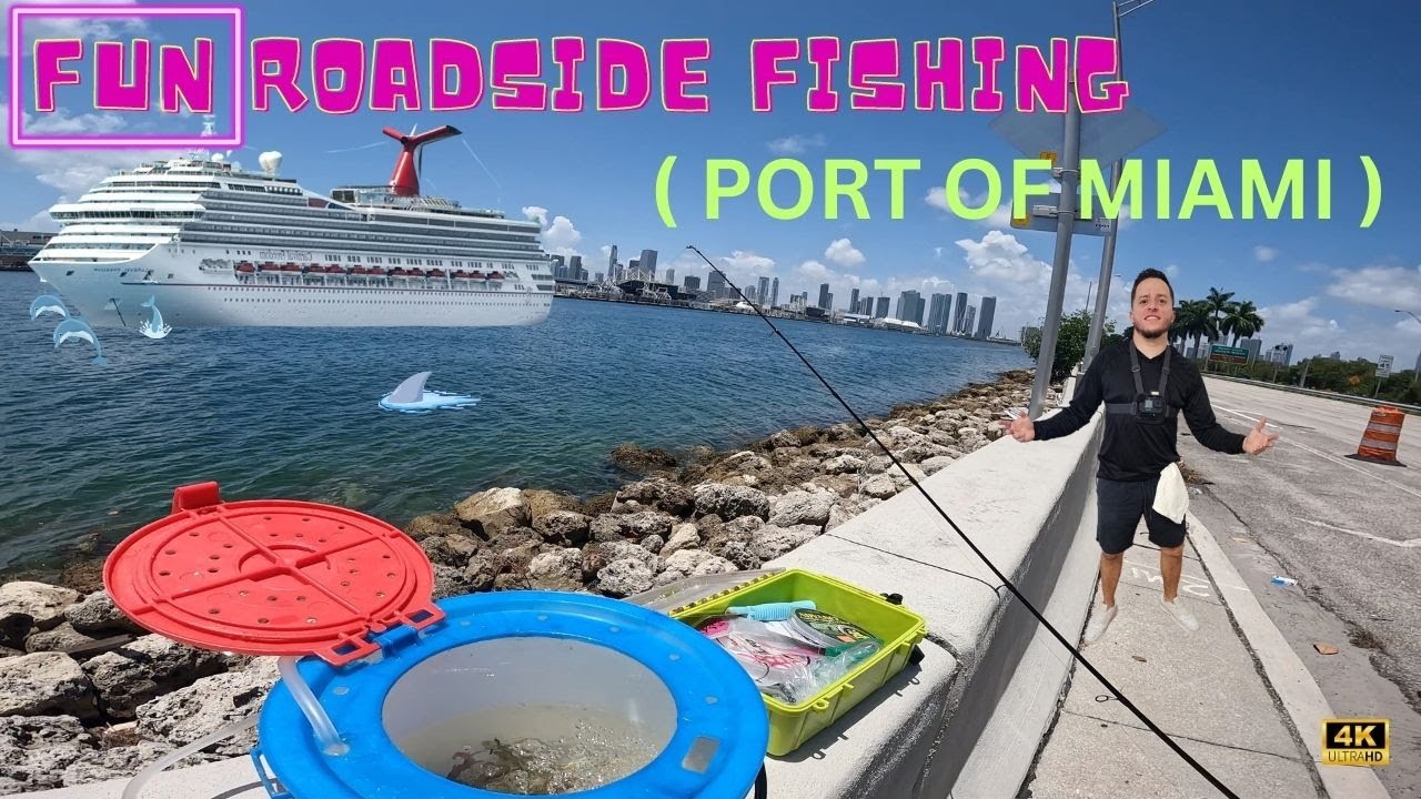 Escape the Crowds: Miami's Best-Kept Secret Fishing Spot! (PORT OF MIAMI)