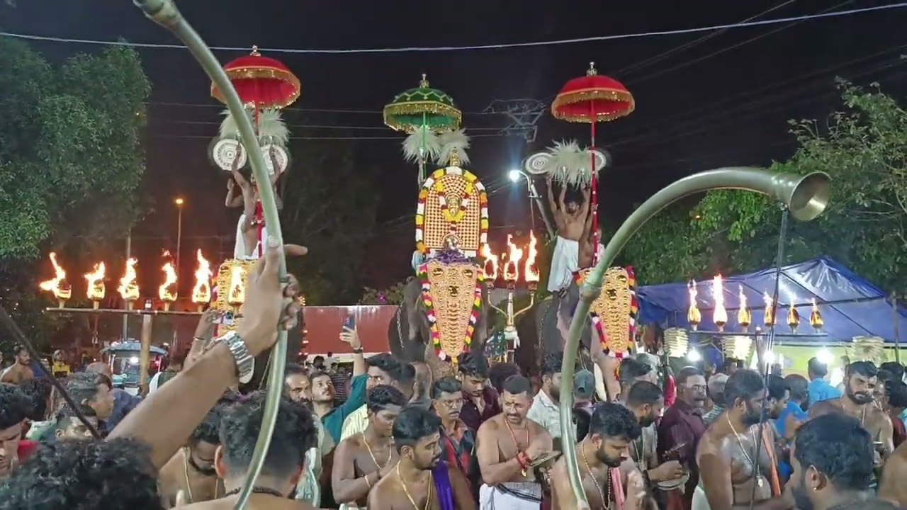 2026Thrissur കുട്ടനല്ലൂർ പൂരം പൊളിച്ചു മക്കളെ🎆💥