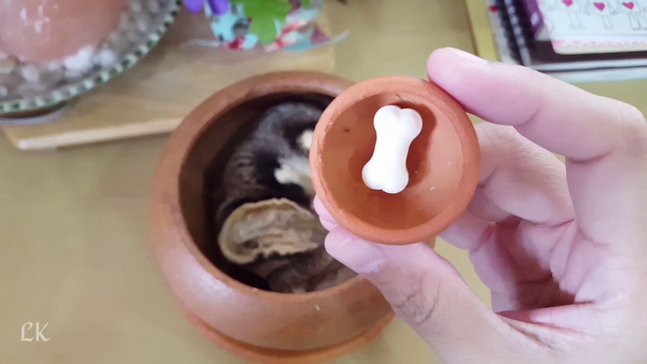 How to wake up SLEEPY Sugarglider [ - LK - ]
