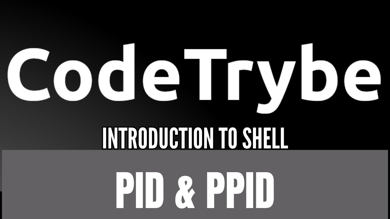 ALX Simple Shell PLD, часть 1 (PID и PPID)