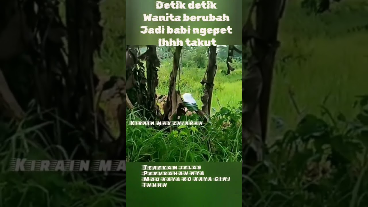Detik detik wanita jadi Babi Ngepet #victorychannel  #babingepet #misteri