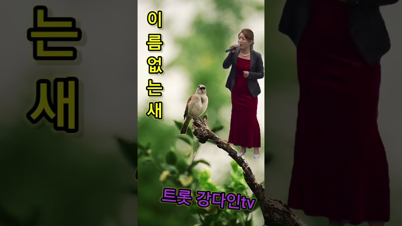 또 차분한곡이 업로드되네요 다음순서는 빠른 템포로~행복한 불금이네요#이름없는 새#손현희#cover by 트롯 강다인#트롯 강다인tv 구독/좋아요♡