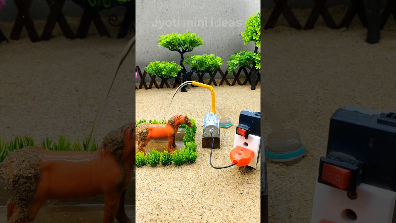 Horse bathed with mini motor water pump project video # 668