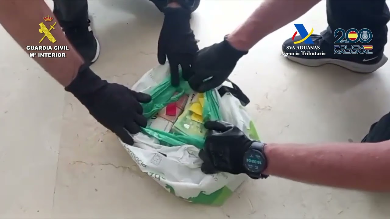 Desarticuladas tres organizaciones criminales vinculadas con 'Balkan Cartel' introducción de cocaína