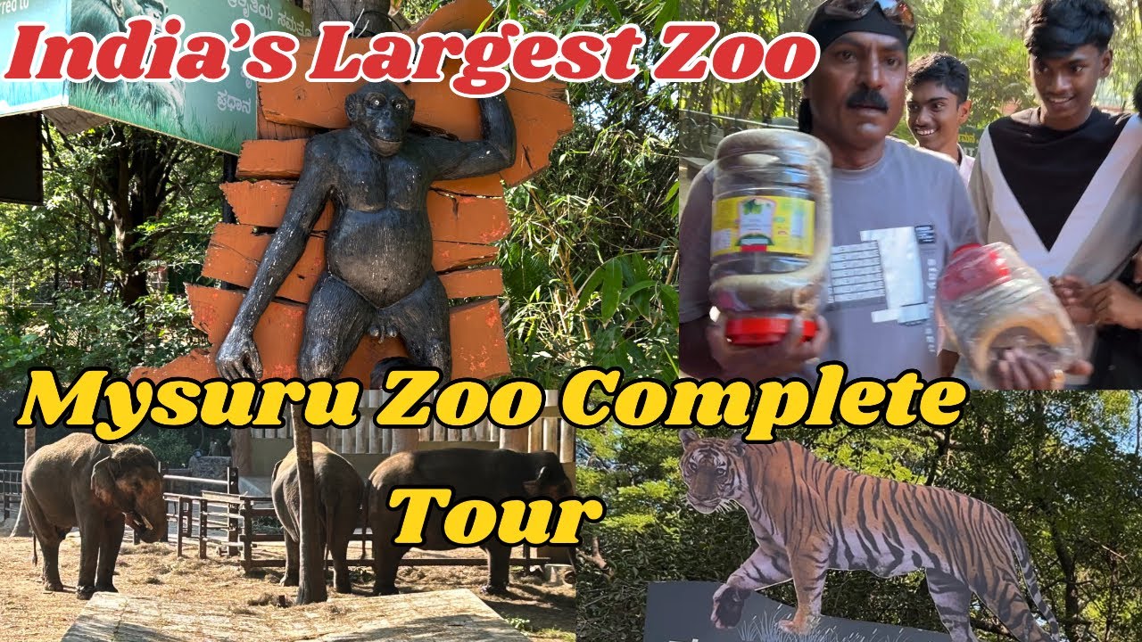 Oldest & Best Zoo in India! Pride of Mysore। Countless Variety of Snakes Species। Rich Biodiversity