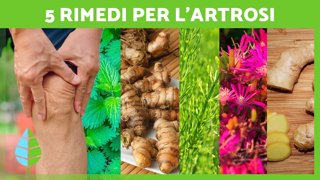 5 PIANTE MEDICINALI per CURARE L'ARTROSI 🌿✅ Rimedi naturali contro l'artrosi