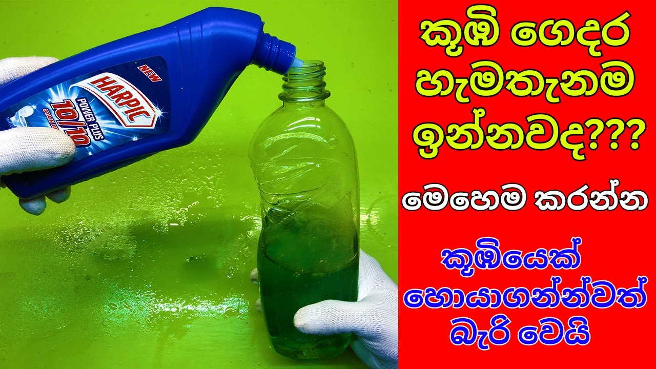 කොහොමද කූඹි කරදරෙන් බේරෙන්නේ / how to get rid ants in house / Best Pest Control In Sri Lanka