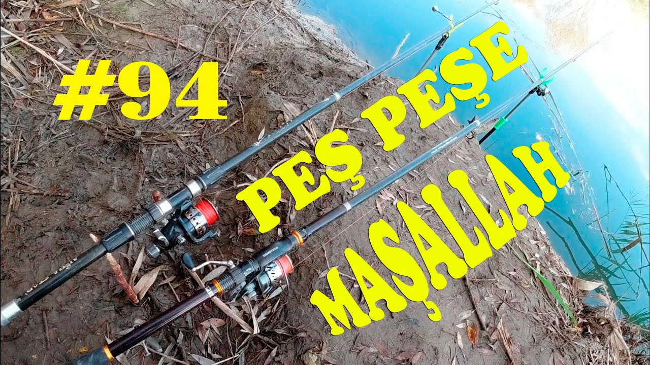 Быстрая рыбалка. Серая кефаль охота с нижней удочкой. Секрет речной рыбалки.
