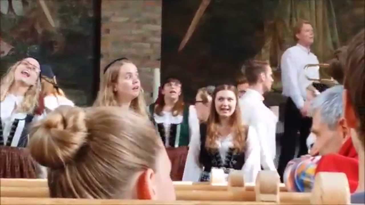 Isländischer Jugendchor Hamrahlíðarkórinn, Reykjavik in Concert