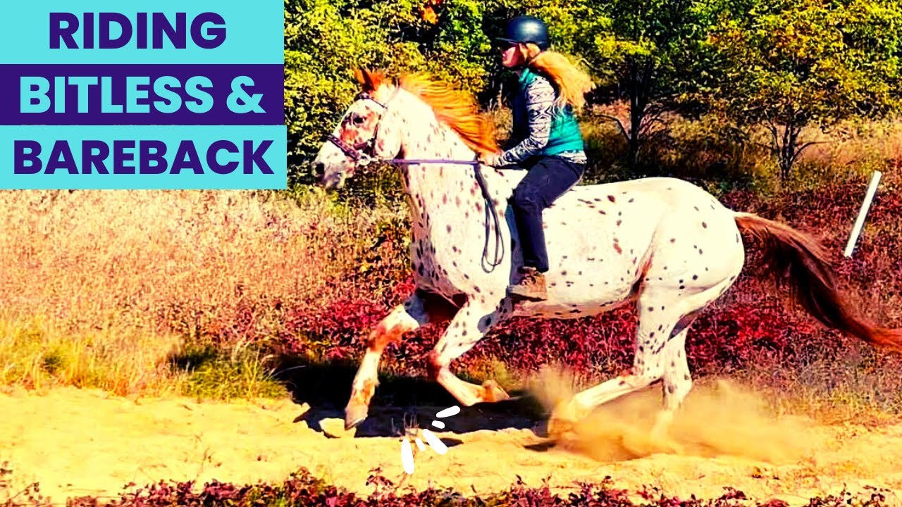 I FORGOT TO BRING MY SADDLE ON THIS TRAIL RIDE!