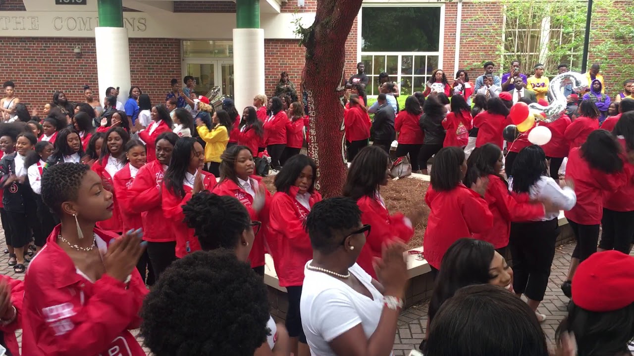 Delta Sigma Theta Sorority, Inc. | Beta Alpha Chapter | Spring 2019