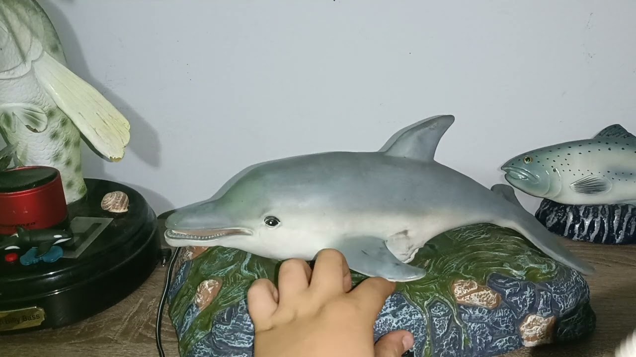 (EXTREMANTLY RARE) SINGING DOLLPHIN
