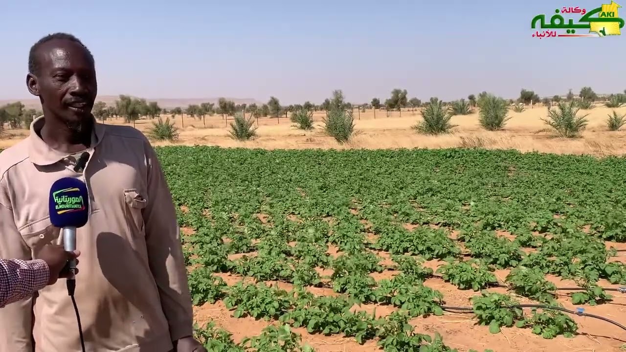 ١٩ يناير، ٢٠٢٦
