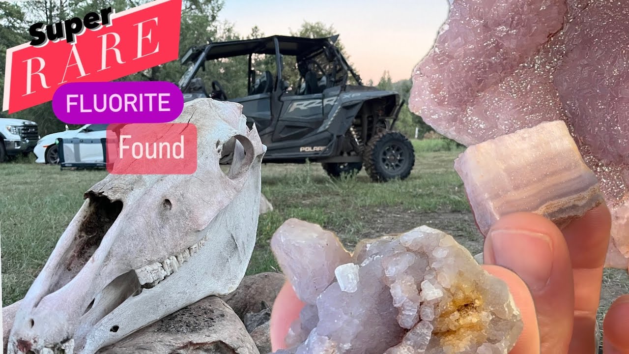 RARE Type of Fluorite Found all over the Ground at this FREE Dig Site in New Mexico