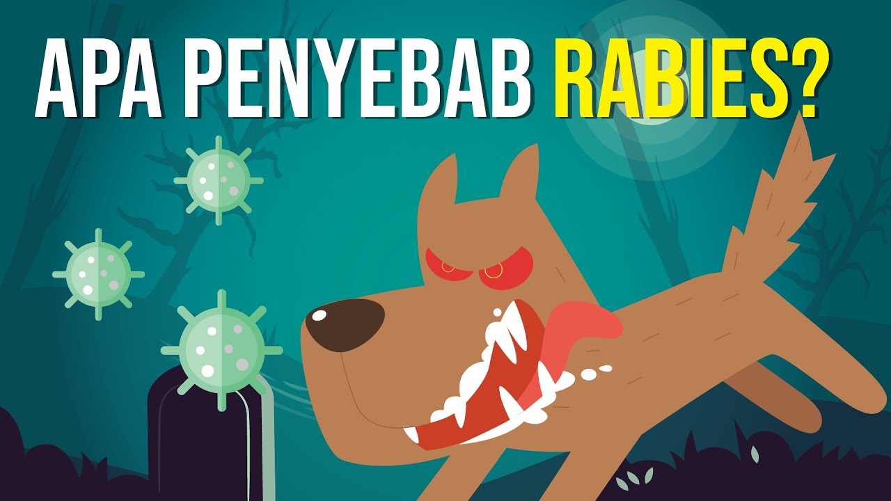 Bahaya Rabies!!