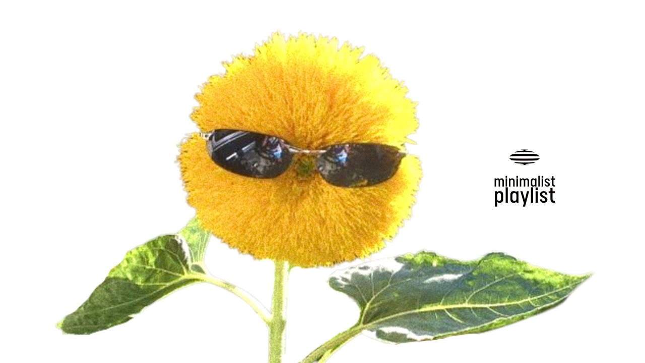 그래서 어쩌라고 우리는 젊습니다 | playlist