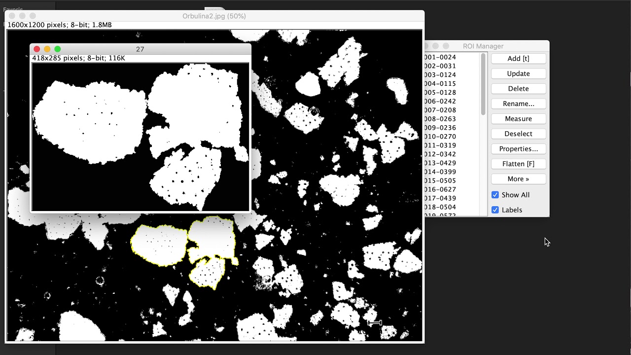 AutoPoro Segmenter demonstration