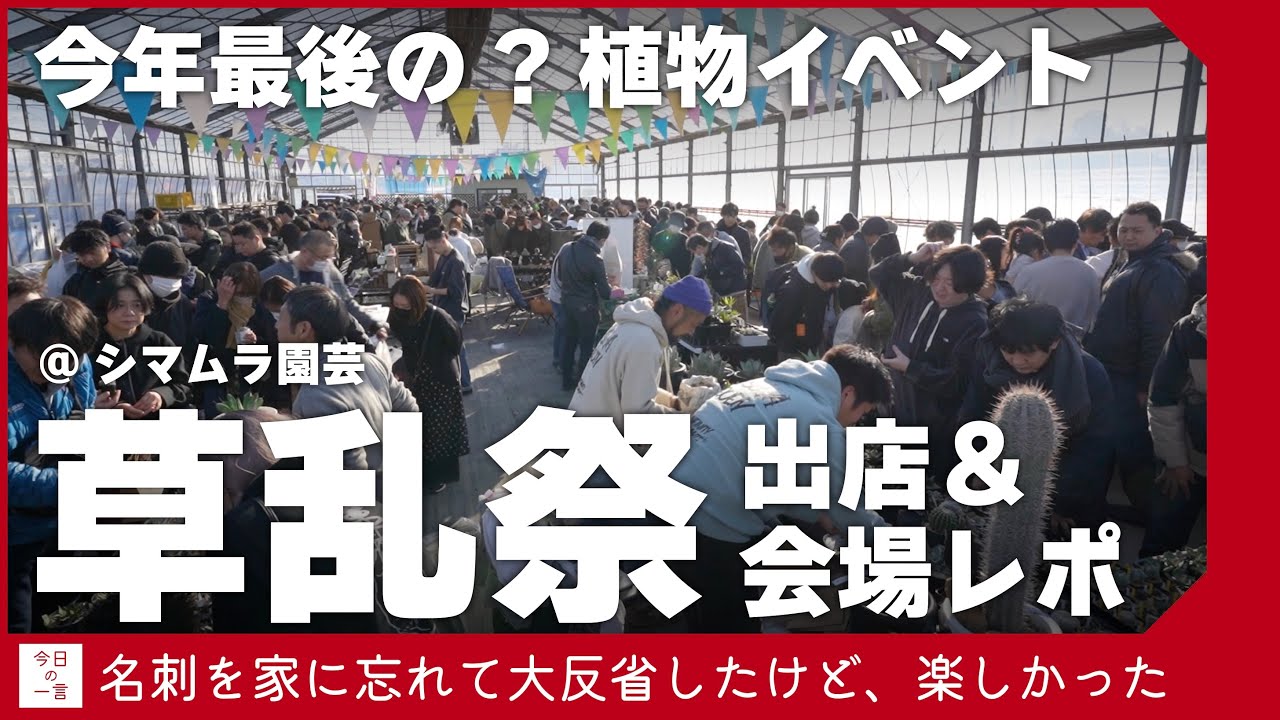シマムラ園芸で開催された2023年最後の(?)植物イベント「草乱祭」に出店したら楽しいすぎたので紹介したい【アガベ・塊根・多肉】