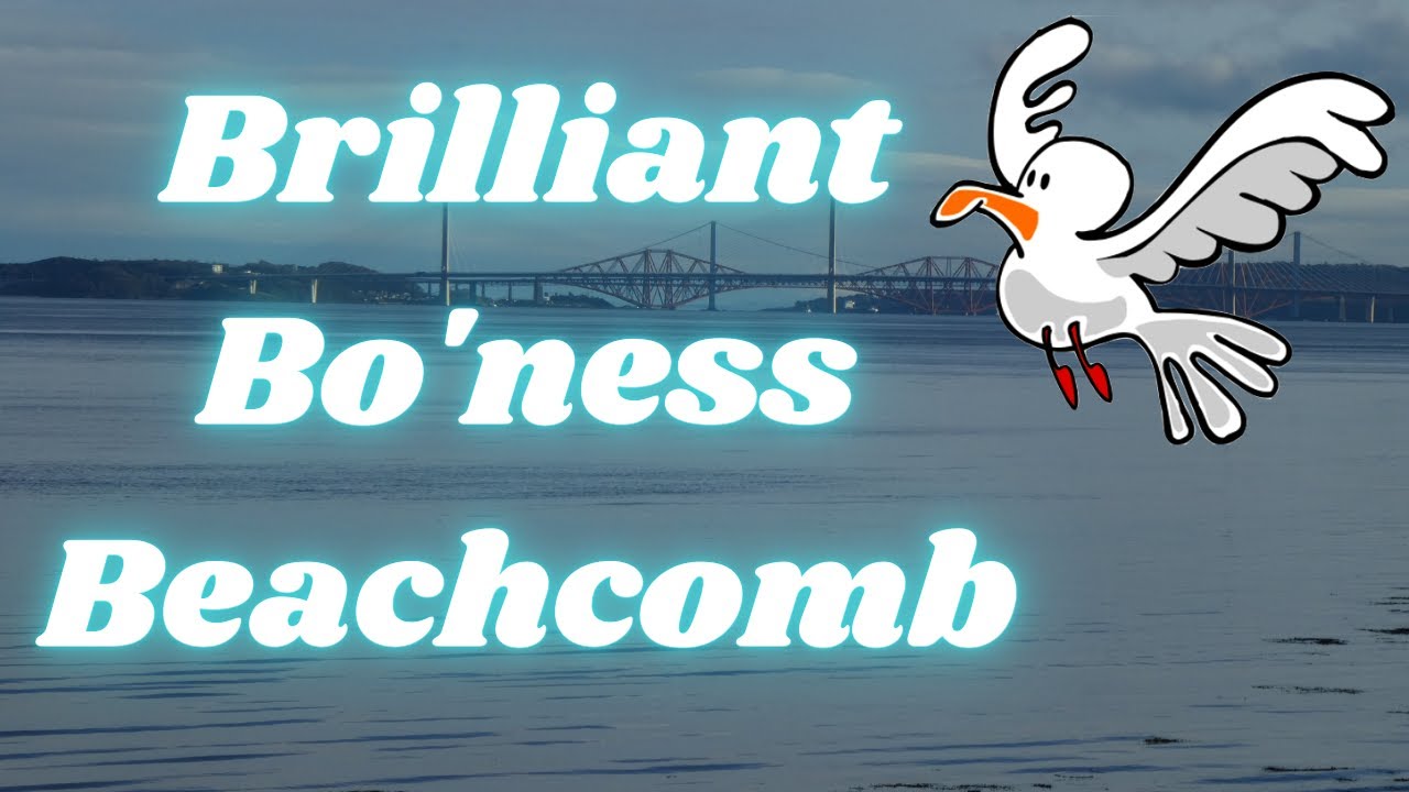 A Beachcombing adventure at Bo'Ness