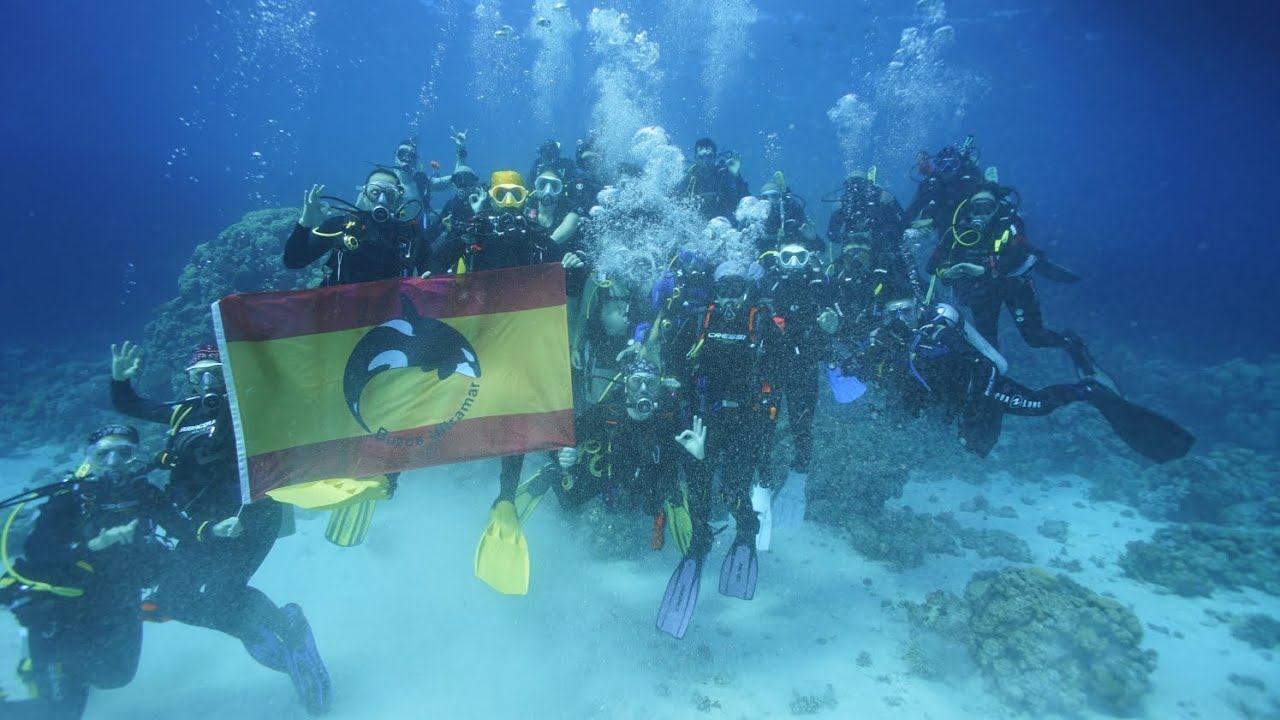 Viaje al Mar Rojo Sur. Vida a bordo en Brothers, Daedalus y Elphinstone