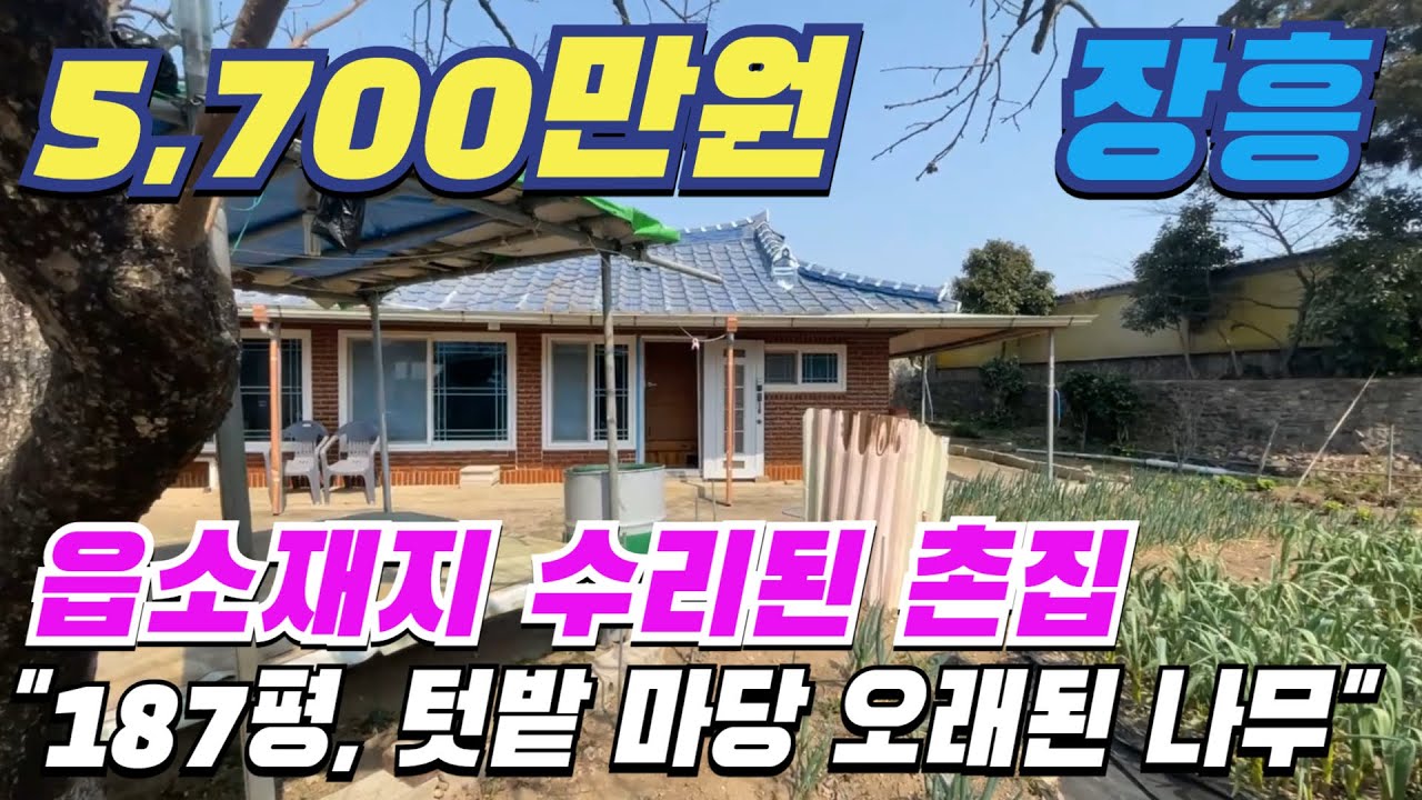 [ 매물번호 11041 ] 읍소재 생활권 좋은 장흥시골집 187평 넓은 마당 안에 멋스러운 나무와 넉넉한 텃밭이 있는 수리된 농가주택 장흥촌집 소개.