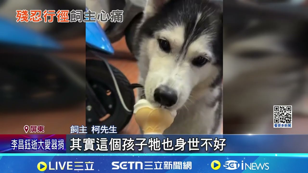 心痛愛犬被惡意撞死! 肇事駕駛