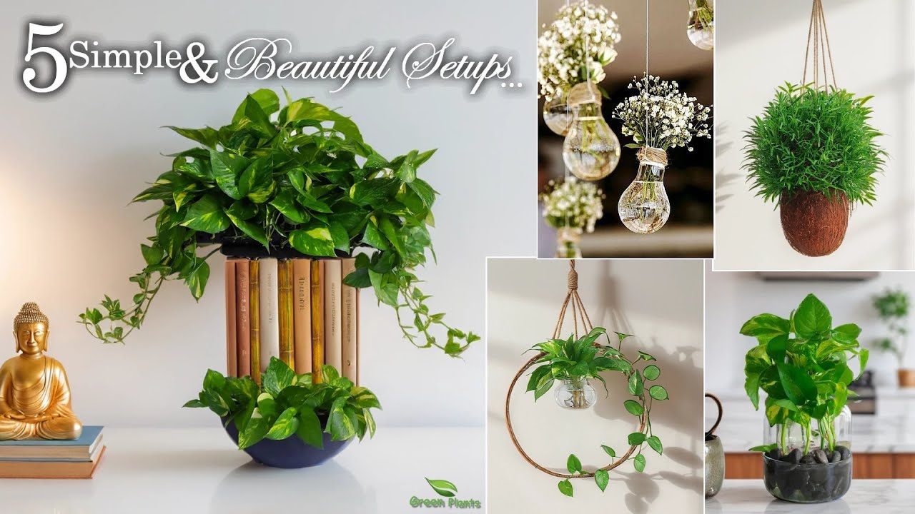 Try These 5 Low-Maintenance Plant Ideas That Instantly Upgrade Your Space//GREEN PLANTS