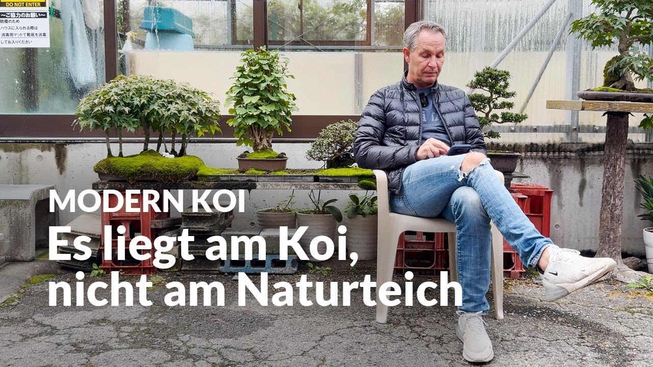 Naturteich: Volumenaufbau ohne Str&ouml;mung ? | Modern Koi Blog #7730