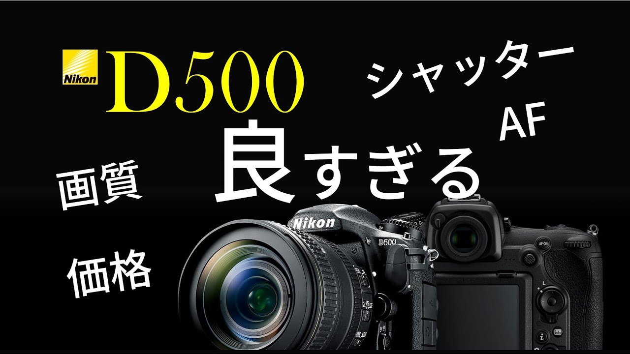 2021年 Nikon D500 が性能もコスパも良すぎるという話