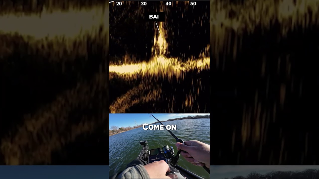 Сканирование кустарника на глубине 10-15 футов с помощью сканера Lowrance SideScan. Проверка в 2D...