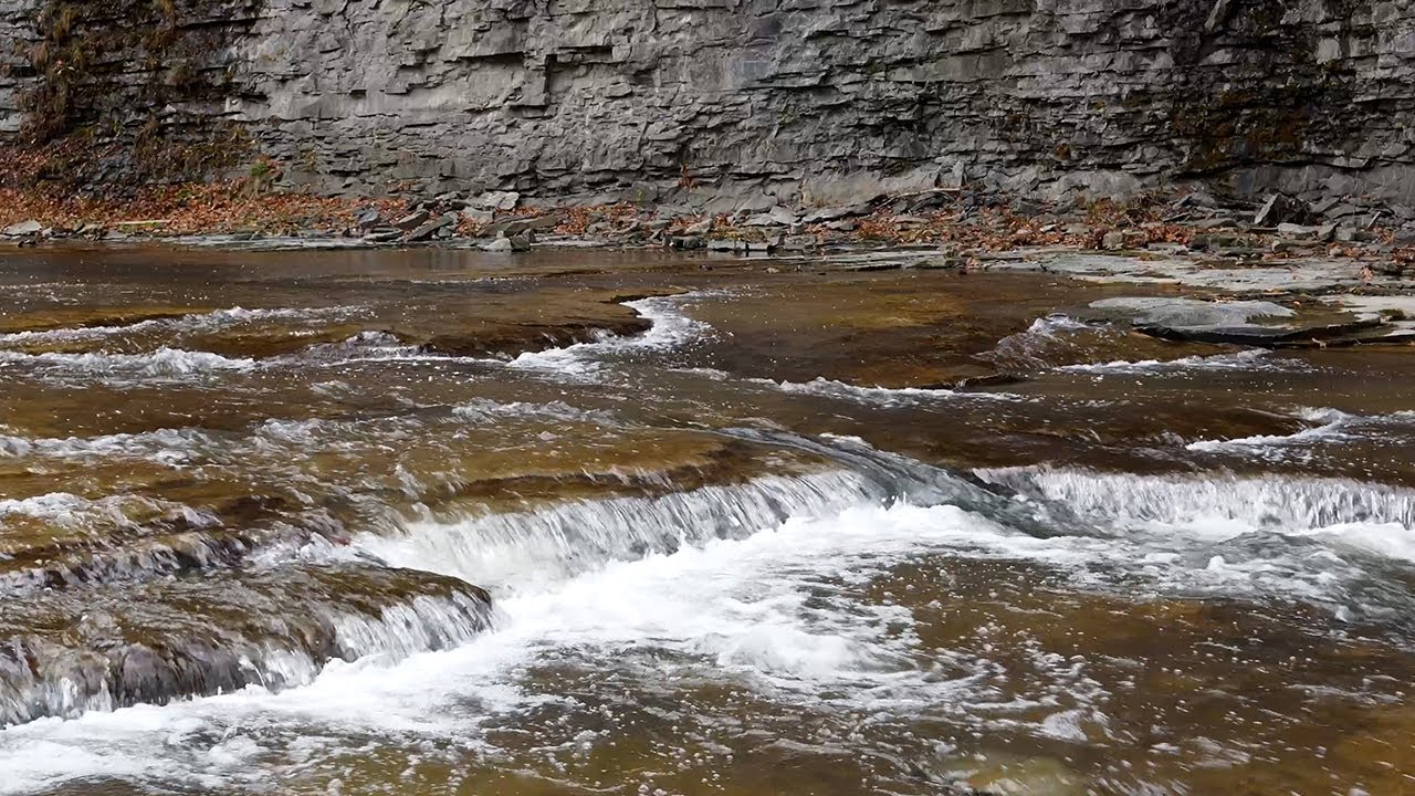 The Sound of Water | Calming Stream and Nature Sounds for Sleep and Relaxation.