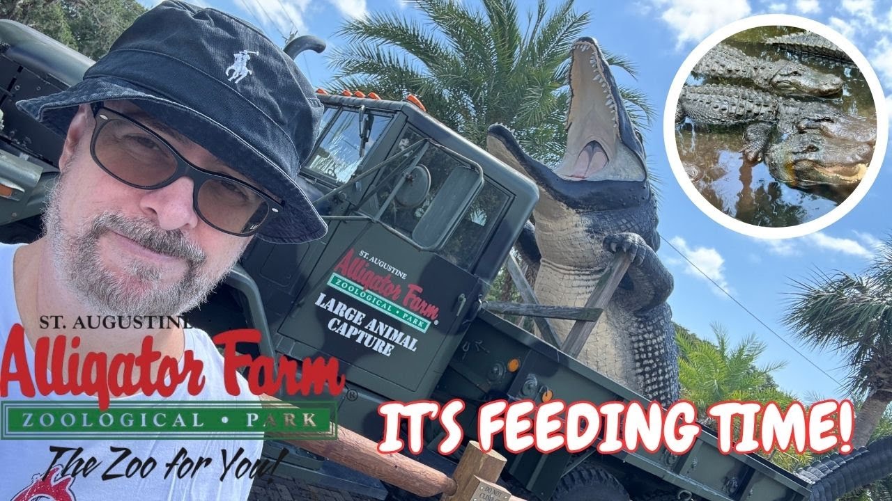 WARNING: Hangry Alligators! St. Augustine Alligator Farm: Not Your Average Zoo!