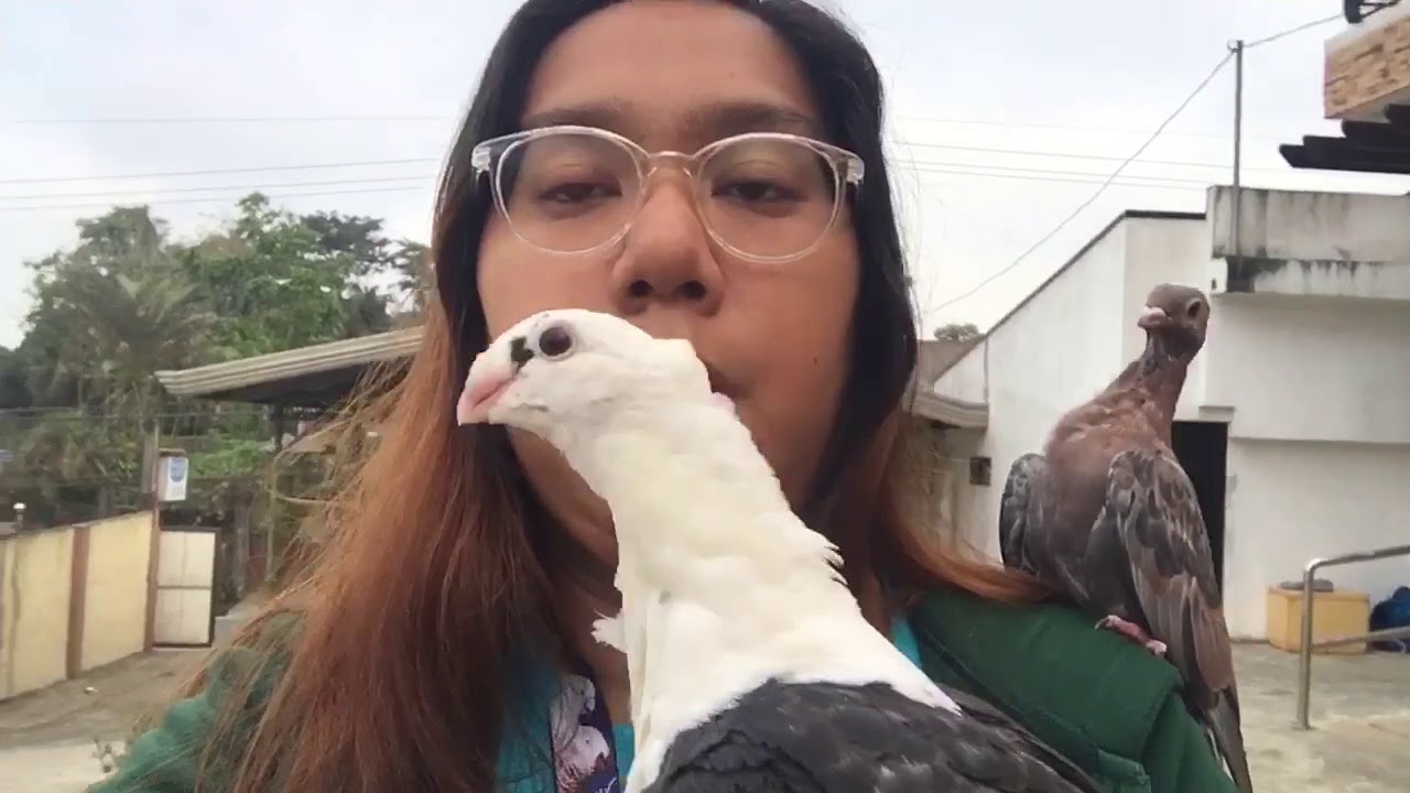Vlog #1 - Training muna!