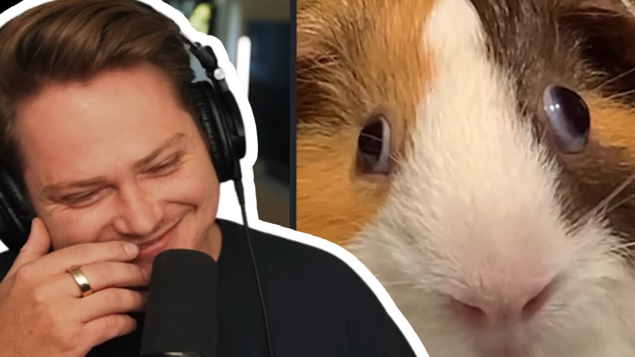 WHAT ARE THESE MEMES 🗣️🗣️🗣️🔥🔥🔥