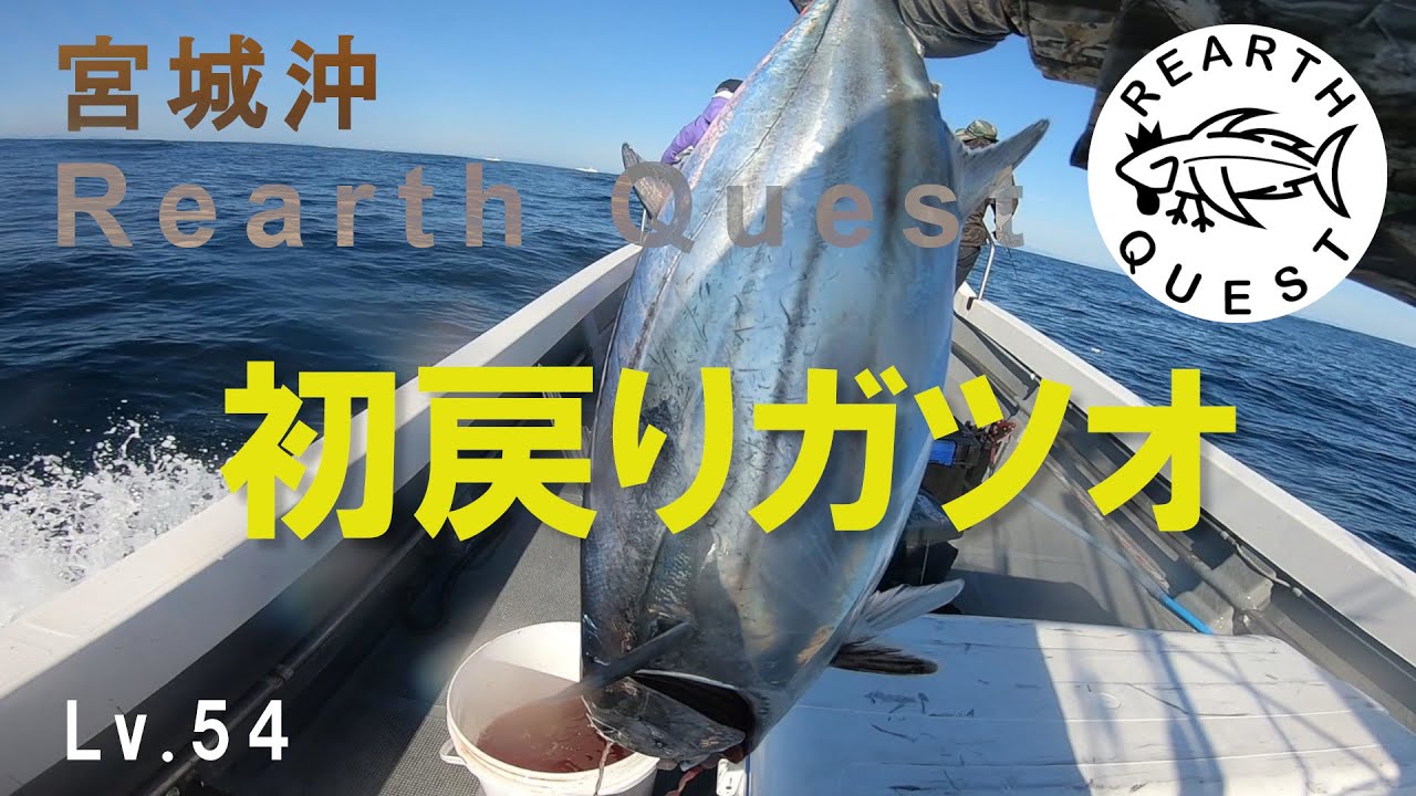 宮城で戻りカツオ【キャスティング】