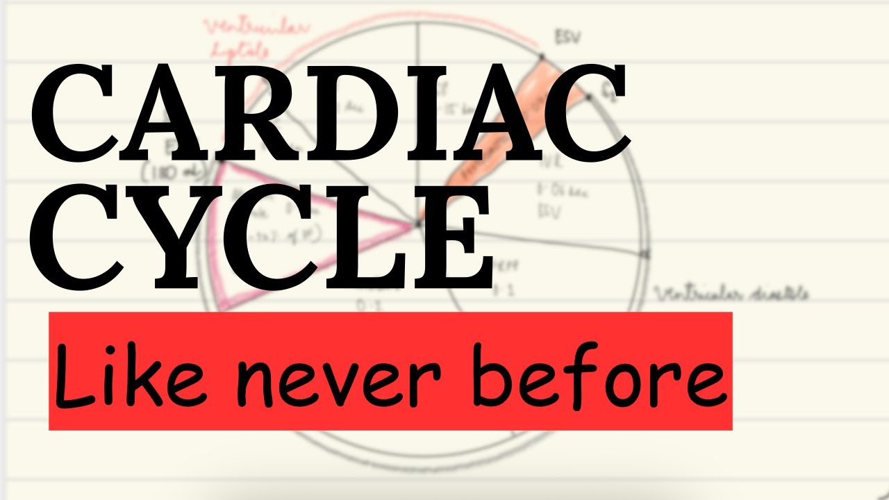 Cardiac cycle made EASY 🫀| #mbbs 