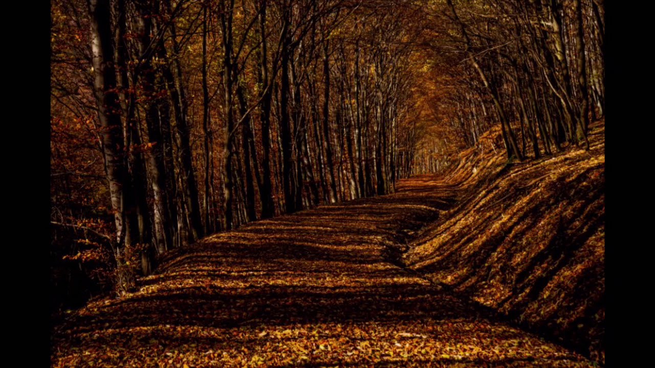 Antonio Vivaldi - Ősz ( Autumn )